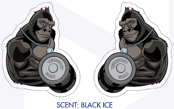 World Gym Air Freshener